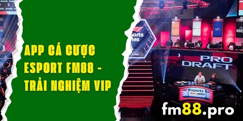 App Cá Cược Esport FM88 - Trải Nghiệm VIP Trên Mọi Thiết Bị