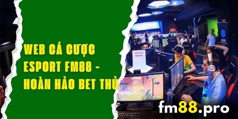 Web Cá Cược Esport FM88 - Điểm Đến Hoàn Hảo Cho Bet Thủ